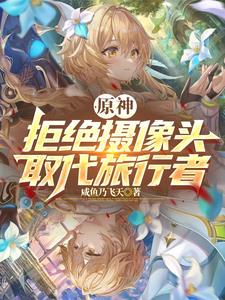 Genshin Impact: Reject Camera, Replace Traveler