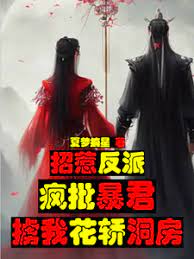 Provoking the villain, madly criticizing the tyrant for kidnapping my sedan chair for the bridal cha
